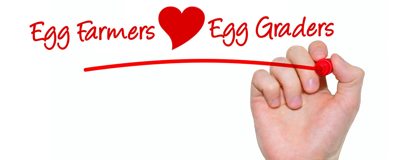 Gray Ridge is one of the largest egg graders in Ontario, working in close partnership with Ontario egg farmers.  Our farmer partners are specially selected for the quality of their eggs and their passion for egg farming. 

Explore what we do and how we do it.
