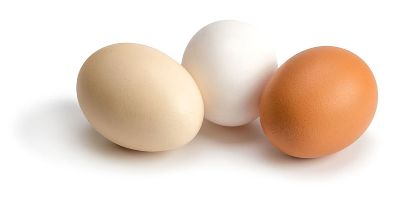Eggs:  Naturally nutritionally perfect.