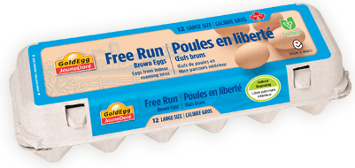 Free Run Large Brown Eggs