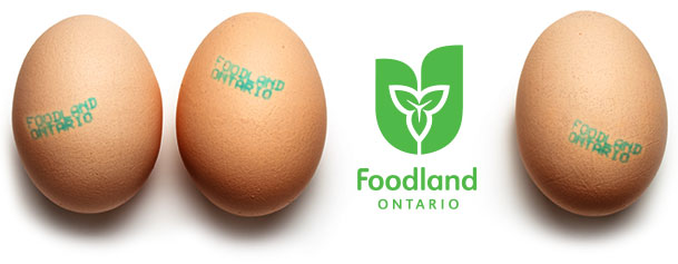 Our Ontario eggs are packed in cartons sporting 
the Foodland Ontario logo 
 – because we’re Ontario local and proud of it!