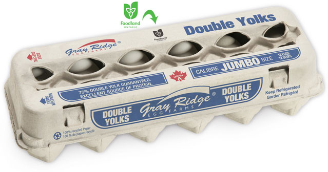 Gray Ridge Double Yolk White Eggs