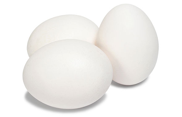 The Traditional White Egg